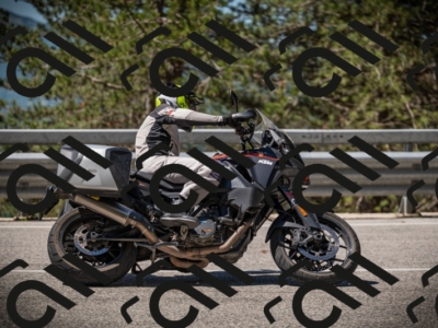 20250531111908-DSC_3551_am_