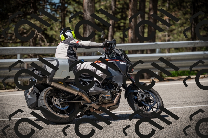 20250531111909-DSC_3552_am_