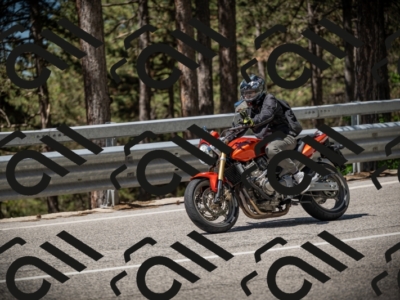 20250531111951-DSC_3560_am_