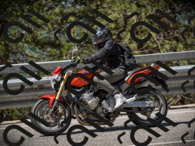 20250531111951-DSC_3562_am_