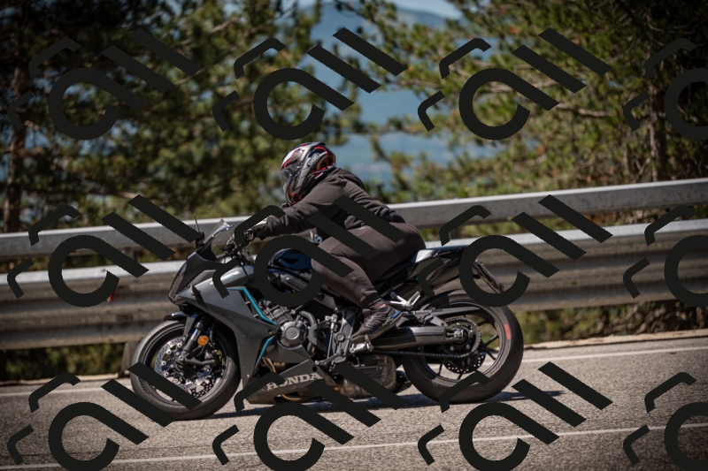 20250531111952-DSC_3563_am_