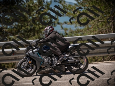 20250531111952-DSC_3563_am_