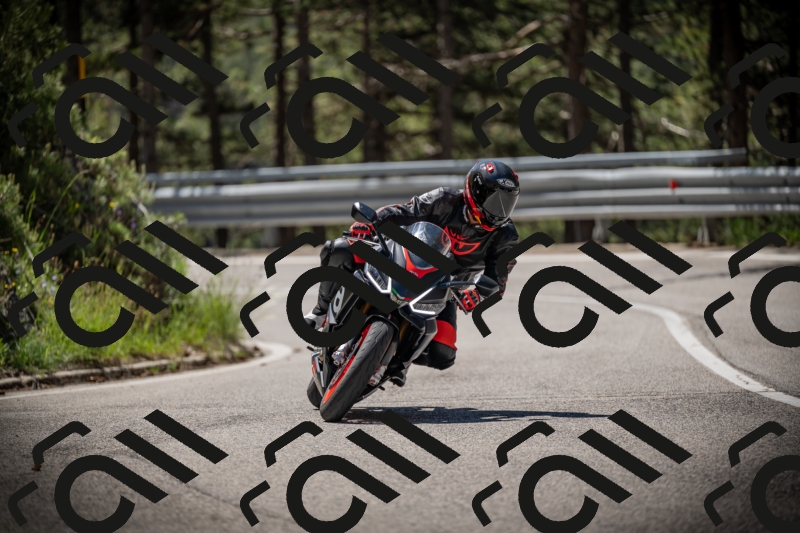 20250531112207-DSC_3574_am_