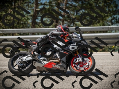 20250531112209-DSC_3575_am_