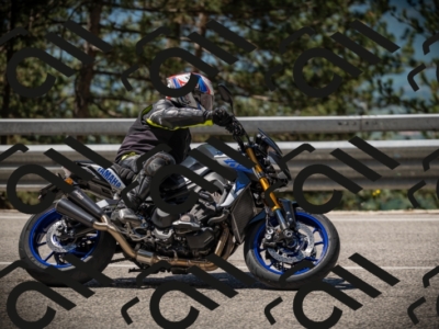 20250531112211-DSC_3578_am_