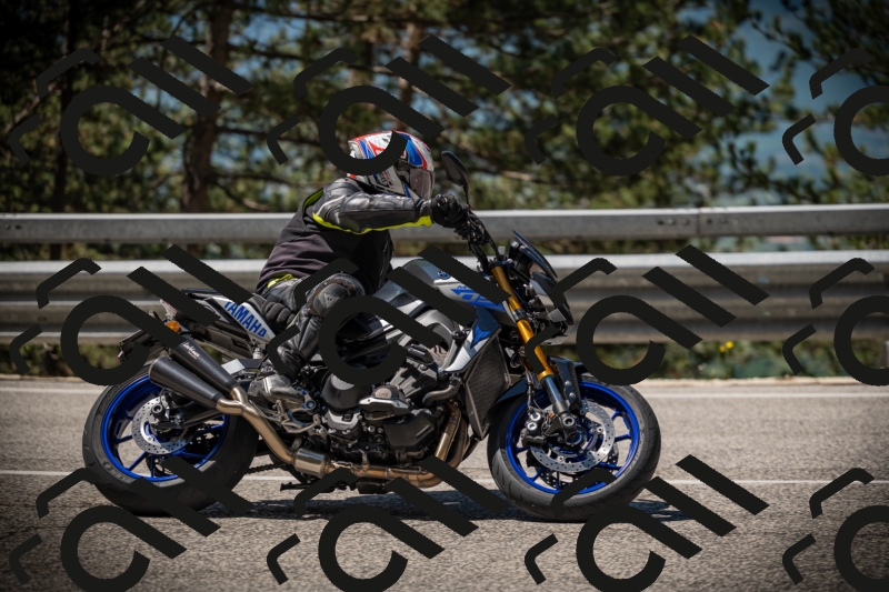 20250531112211-DSC_3578_am_