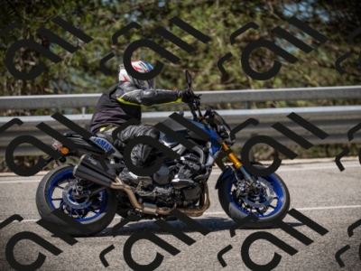 20250531112211-DSC_3579_am_