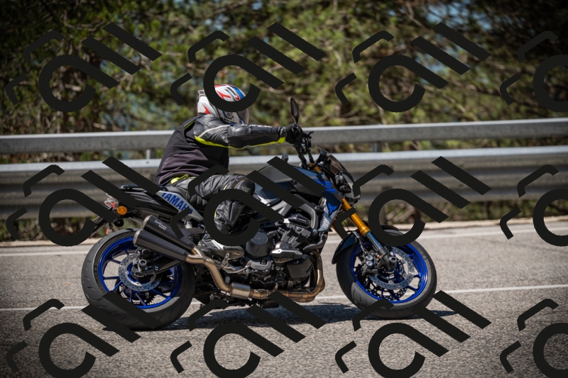 20250531112211-DSC_3579_am_