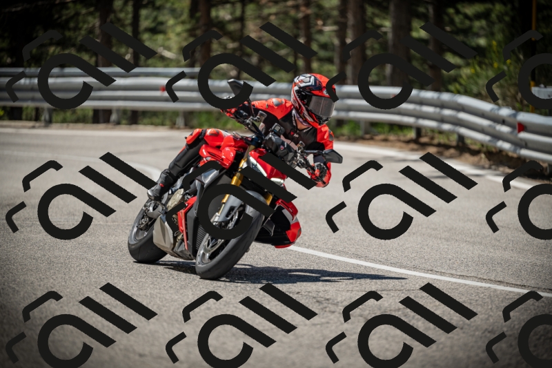 20250531112252-DSC_3583_am_