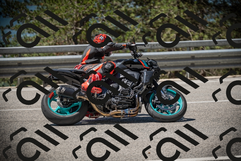 20250531112258-DSC_3589_am_