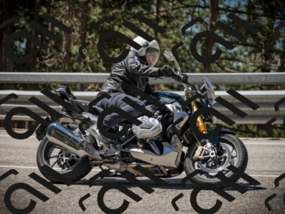 20250531112301-DSC_3593_am_