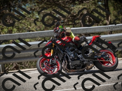 20250531112320-DSC_3601_am_