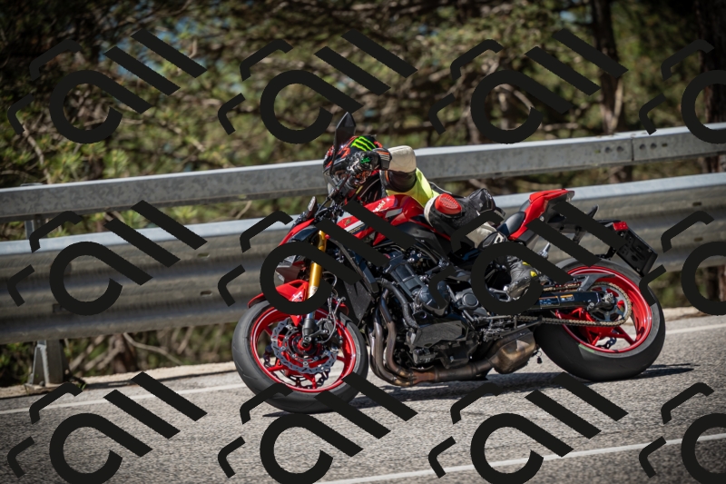 20250531112320-DSC_3601_am_