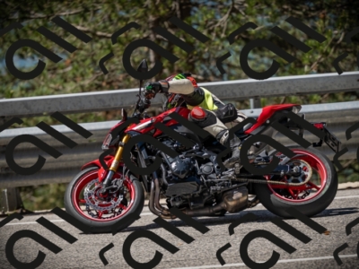 20250531112320-DSC_3602_am_