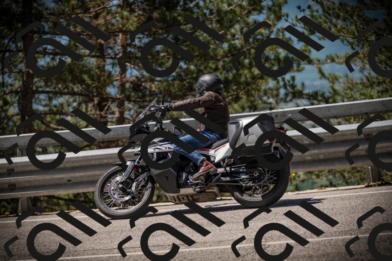 20250531112402-DSC_3608_am_