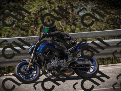 20250531112453-DSC_3624_am_