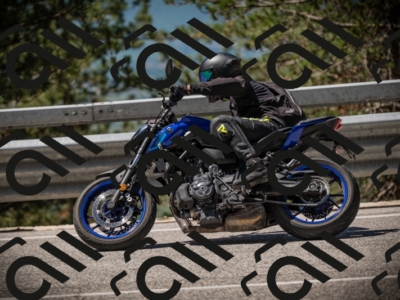 20250531112453-DSC_3625_am_