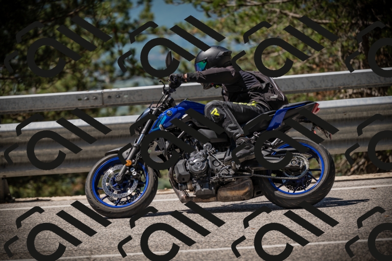 20250531112453-DSC_3625_am_