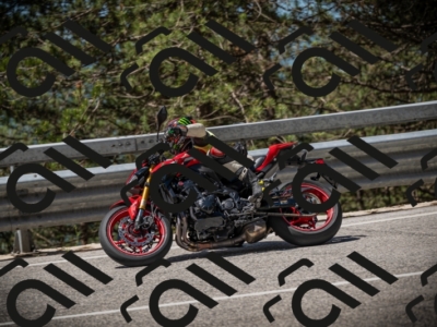 20250531112515-DSC_3629_am_