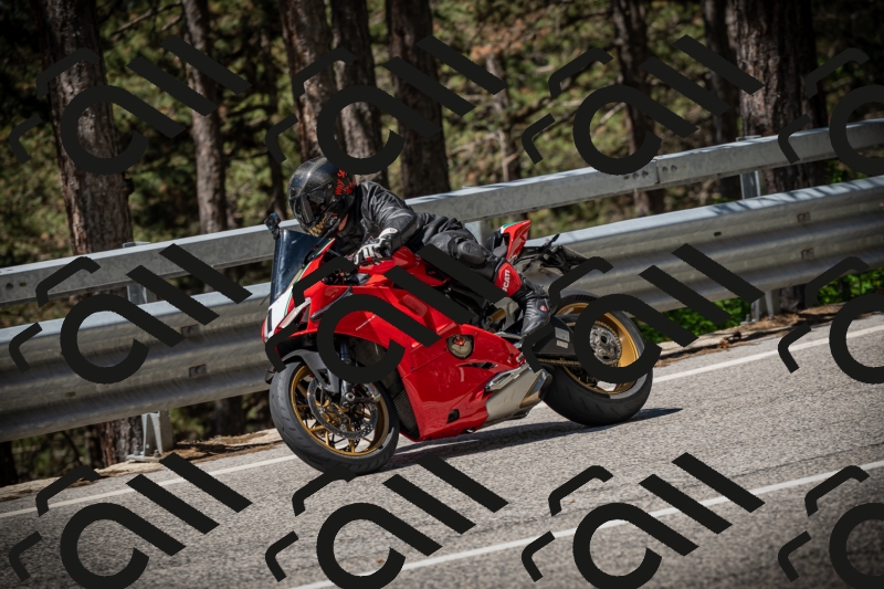 20250531112554-DSC_3635_am_