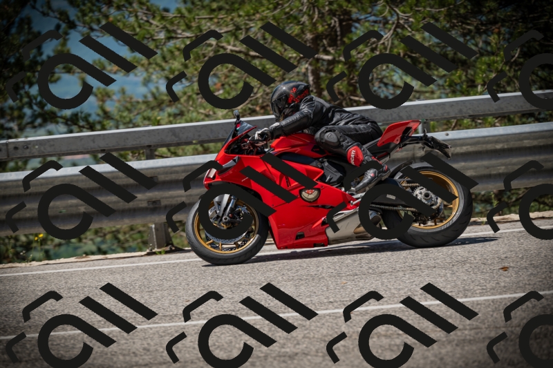 20250531112555-DSC_3637_am_