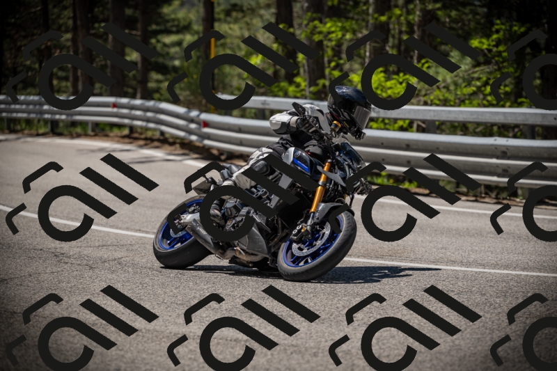 20250531112803-DSC_3689_am_