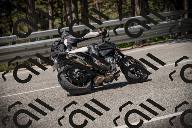 20250531112808-DSC_3697_am_