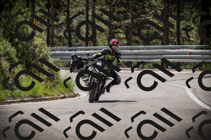 20250531112844-DSC_3704_am_