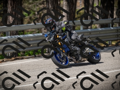 20250531112857-DSC_3711_am_