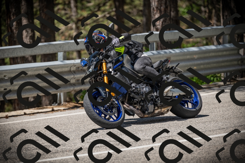 20250531112857-DSC_3712_am_