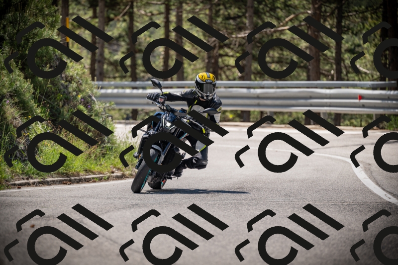 20250531112913-DSC_3713_am_