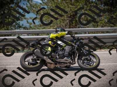 20250531112924-DSC_3719_am_