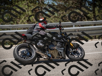 20250531112930-DSC_3724_am_