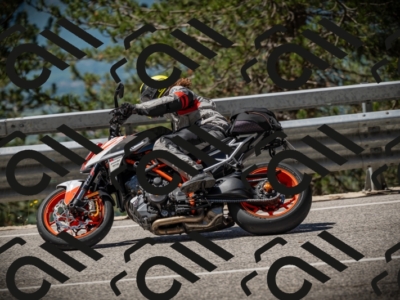 20250531112943-DSC_3729_am_