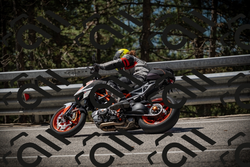 20250531112944-DSC_3730_am_