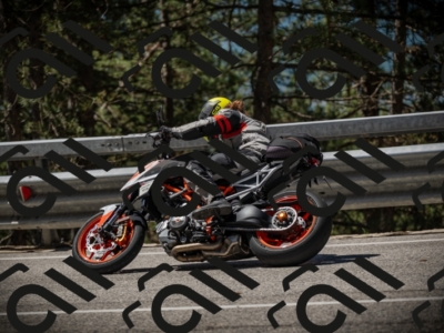 20250531112944-DSC_3730_am_