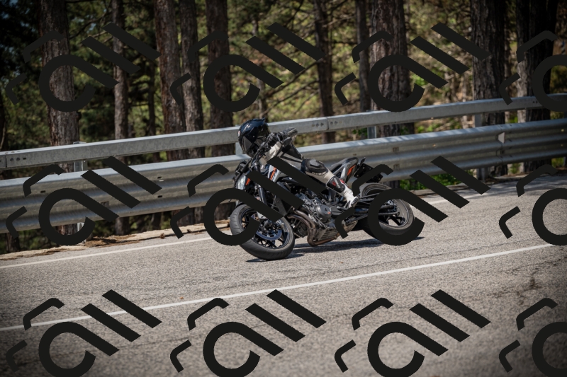 20250531112949-DSC_3731_am_