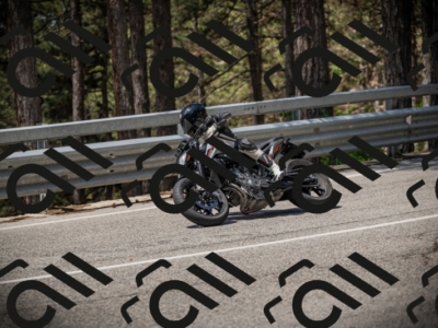 20250531112949-DSC_3731_am_