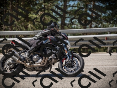 20250531113011-DSC_3749_am_