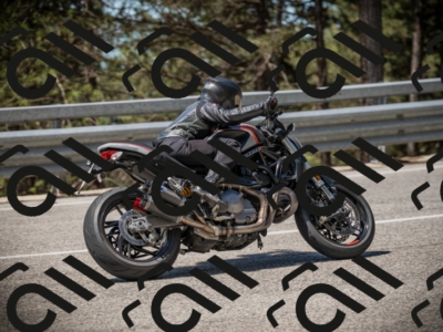 20250531113012-DSC_3751_am_