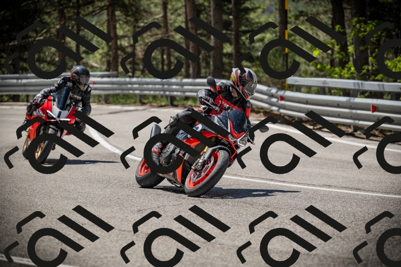 20250531113105-DSC_3753_am_