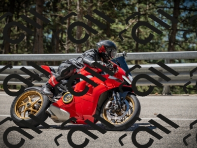 20250531113106-DSC_3755_am_