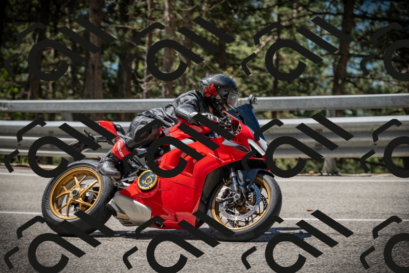 20250531113106-DSC_3755_am_