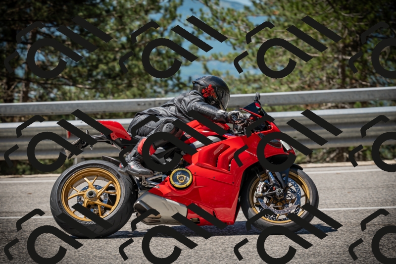 20250531113107-DSC_3756_am_