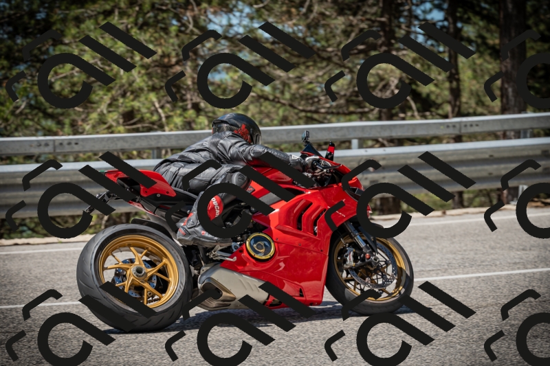 20250531113107-DSC_3757_am_