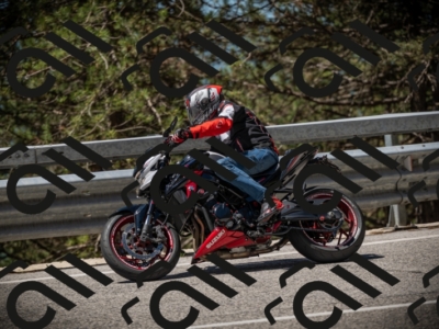 20250531113148-DSC_3761_am_