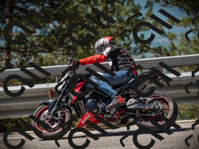 20250531113148-DSC_3762_am_