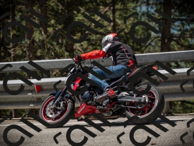 20250531113148-DSC_3763_am_