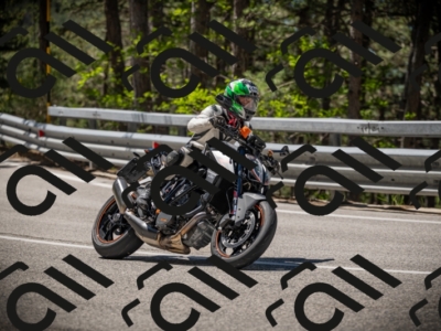 20250531113211-DSC_3770_am_