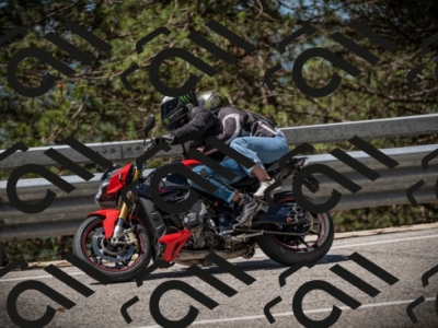 20250531113238-DSC_3776_am_